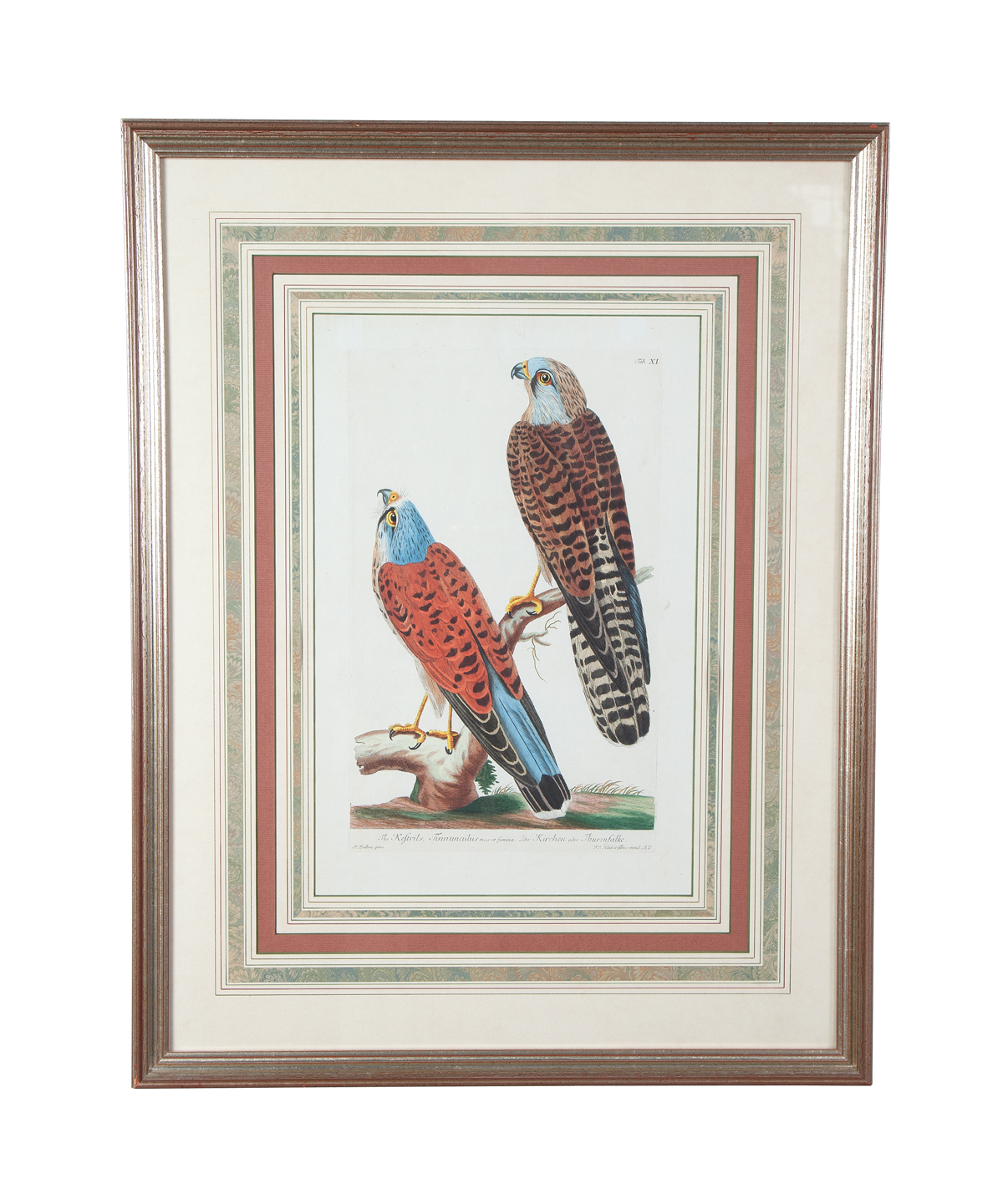 Bird Etchings