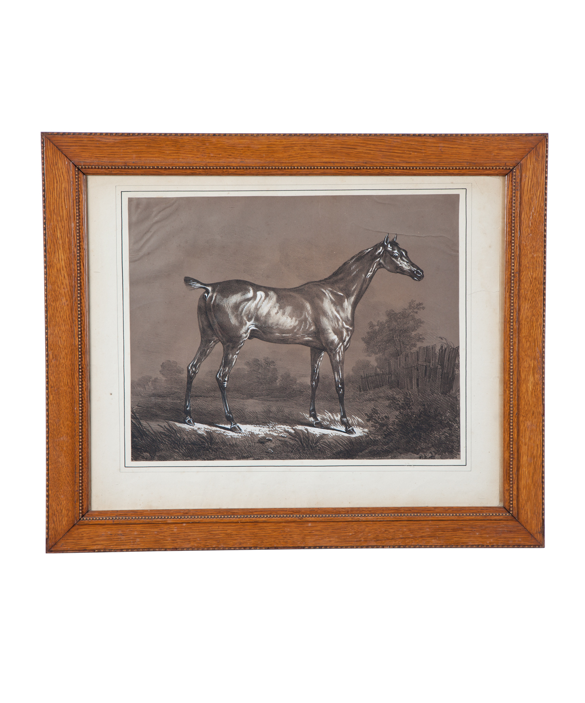 Horse Lithographs