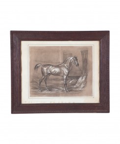 Horse Lithographs