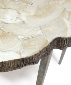 Fossilized Clam Console