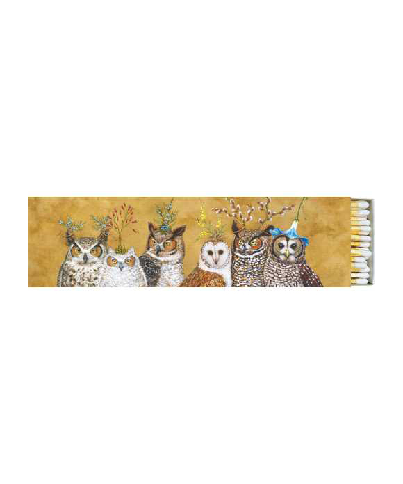 Owl Family Long Matches