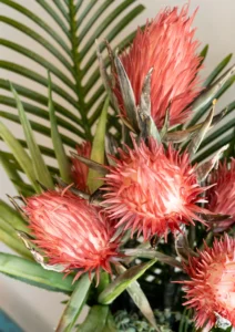 Kurtz Collection - Faux Florals- Close Up