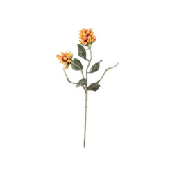 Kurtz Collection-Kalalou-Orange Stem Duo-Faux Floral