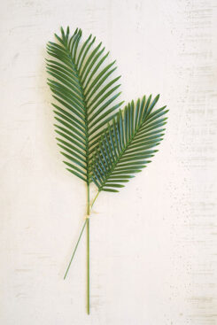 Kurtz Collection-Kalalou-Palm Fronds-Faux Florals