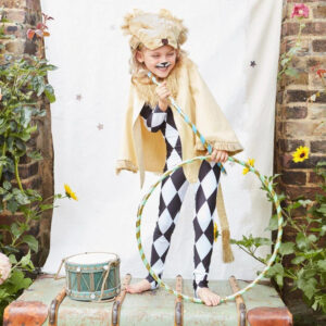 Kurtz Collection-Meri Meri-Lion Dress Up2