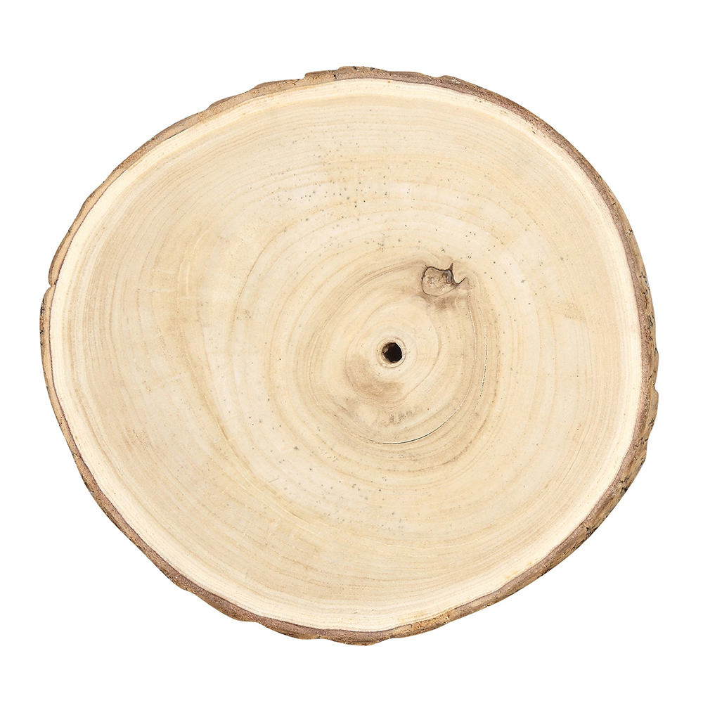 GE44651-Creative Co Op-Paulownia Wood Slice