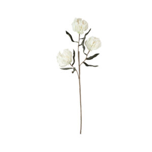 Kalalou 3 Large White Flowers