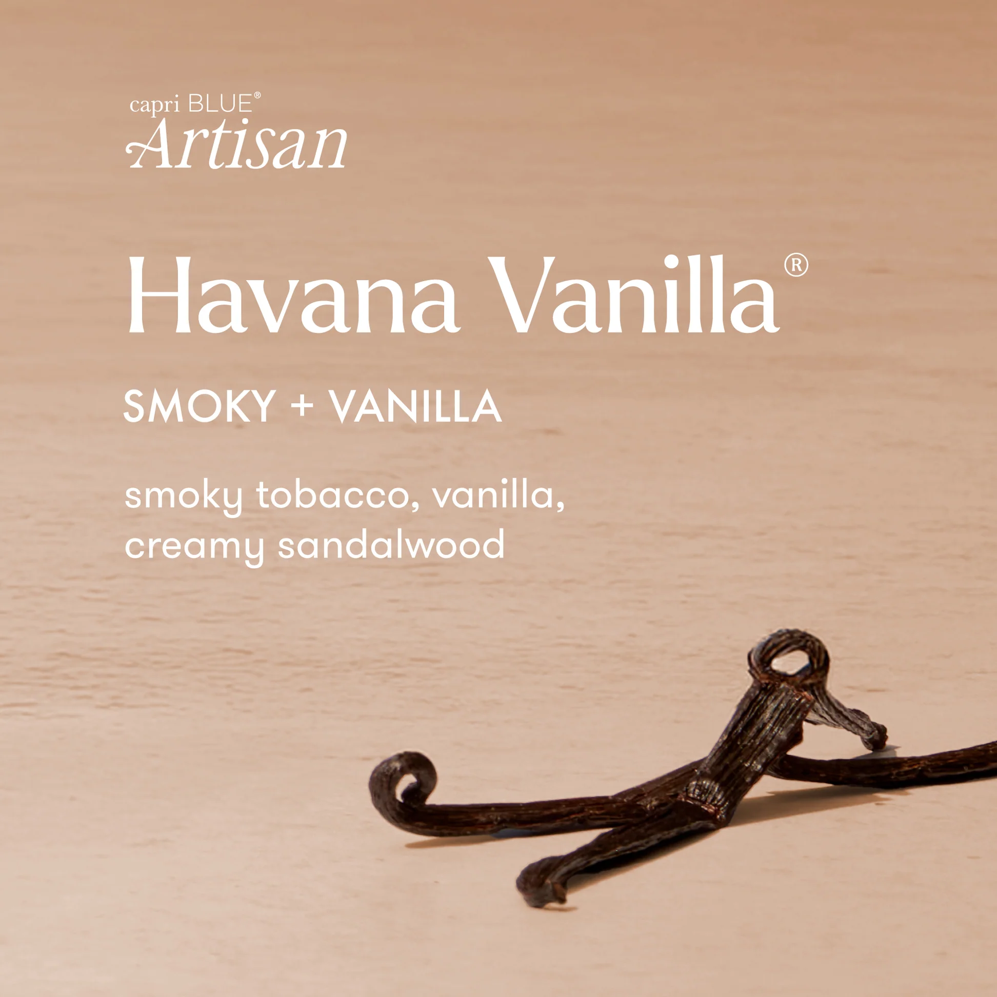 Havana Vanilla Caffe Capri Candle - Image 3